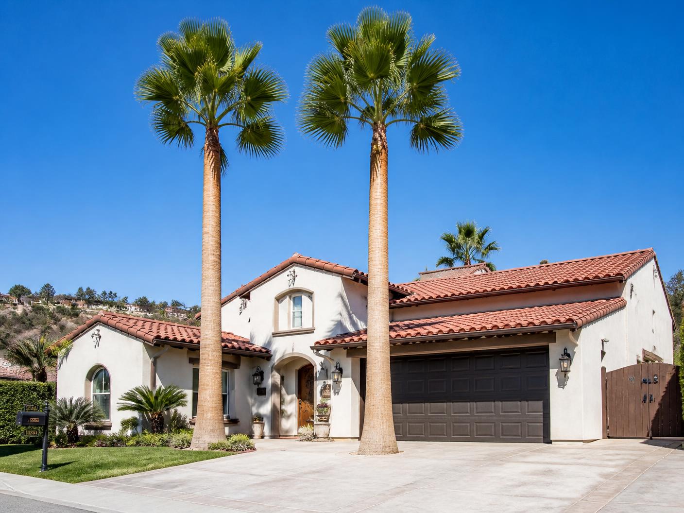 The same two Mexican fan palms trimmed and skinned at a San Diego home